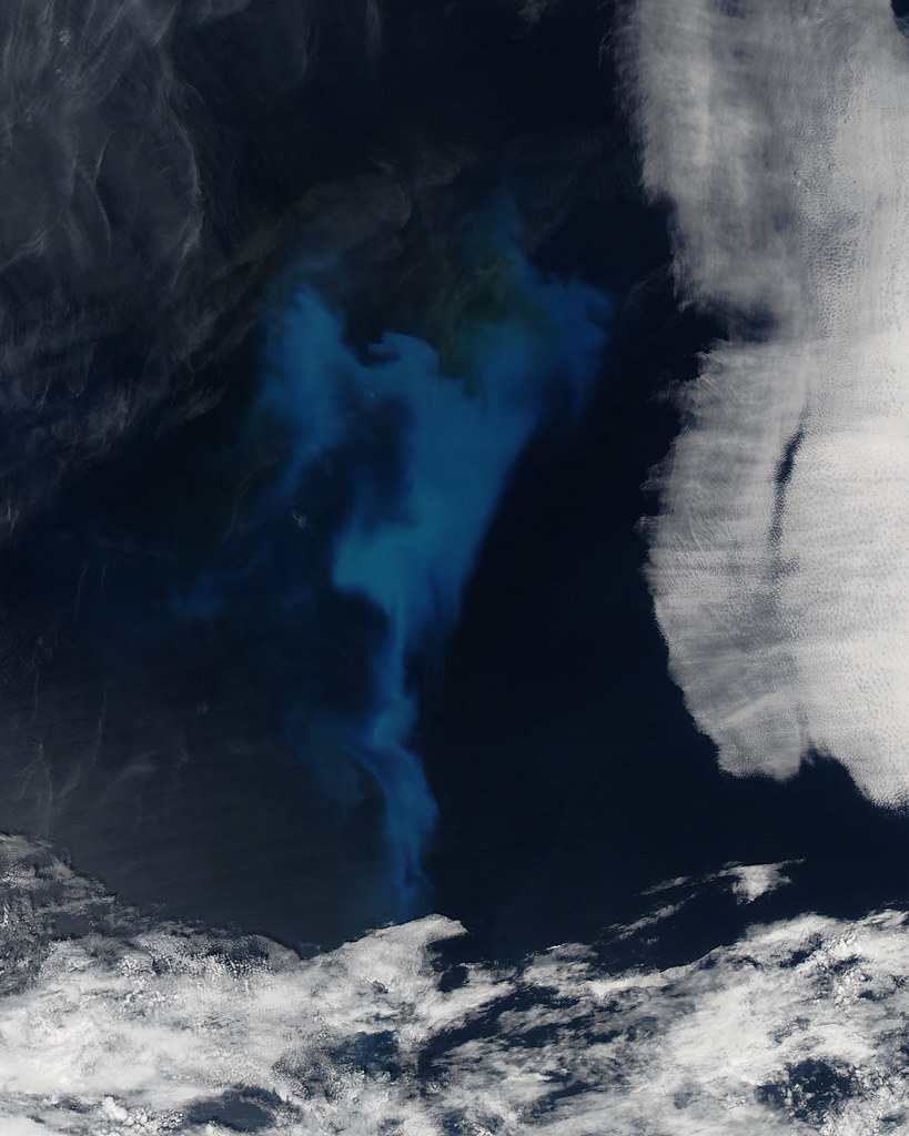Phytoplankton bloom in the North Atlantic Ocean